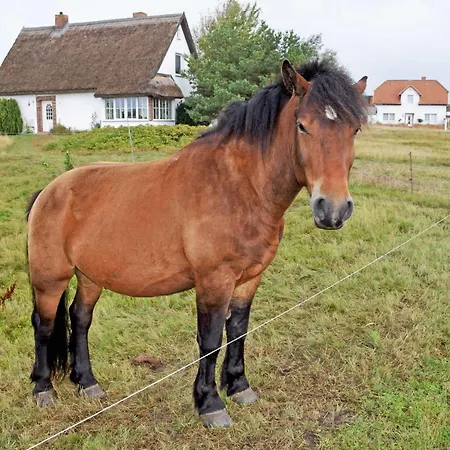 Ferienzimmer Unterm Reetdach In Pl * Neuendorf (Hiddensee)